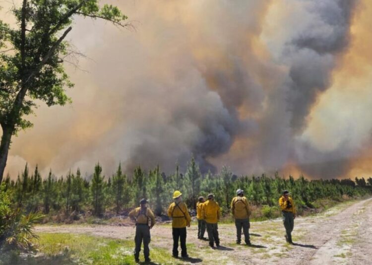 apos-oracoes,-chuva-ajuda-a-conter-incendio-florestal-na-georgia:-“foi-uma-bencao”
