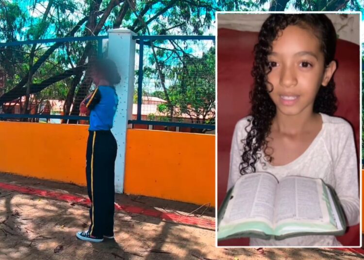 menina-crista-atacada-por-enxame-de-abelhas-e-salva-por-motoboy-em-mg