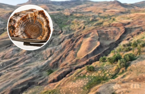 pesquisa-sobre-arca-de-noe-encontra-material-que-pode-ser-madeira-petrificada