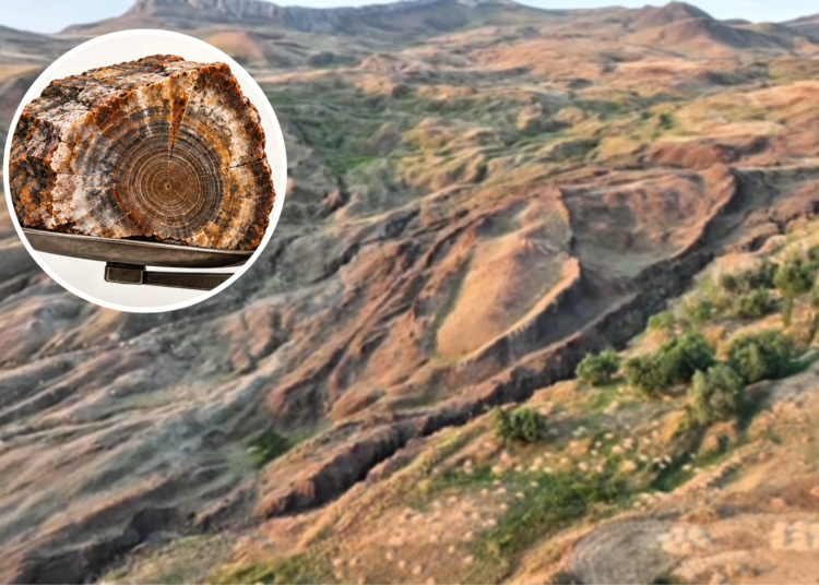 pesquisa-sobre-arca-de-noe-encontra-material-que-pode-ser-madeira-petrificada